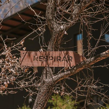 Hotel Vivelo Elqui Landscape Horcón エクステリア 写真