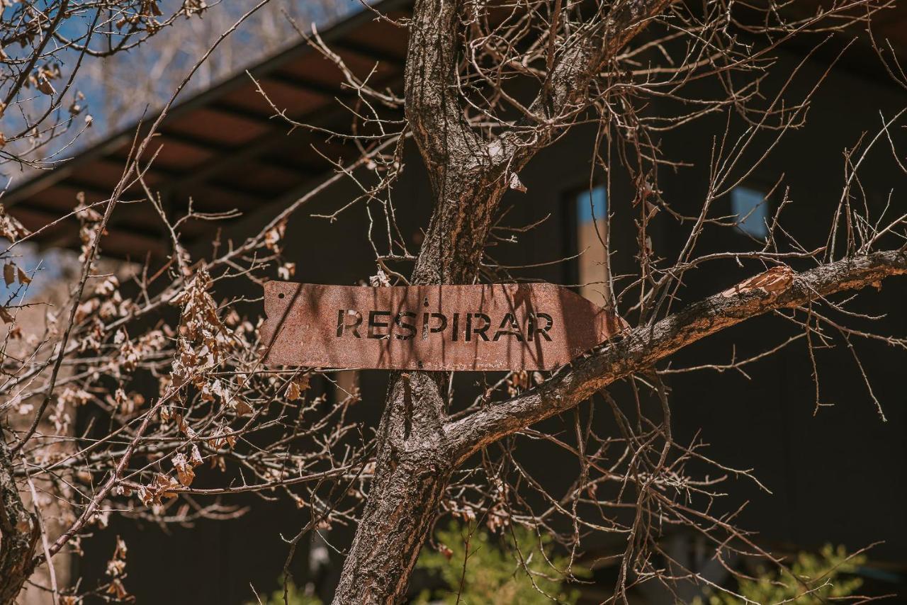Hotel Vivelo Elqui Landscape Horcón エクステリア 写真