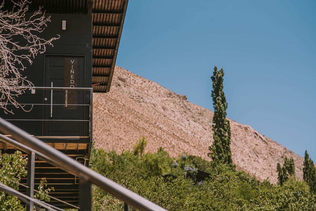 Hotel Vivelo Elqui Landscape Horcón エクステリア 写真