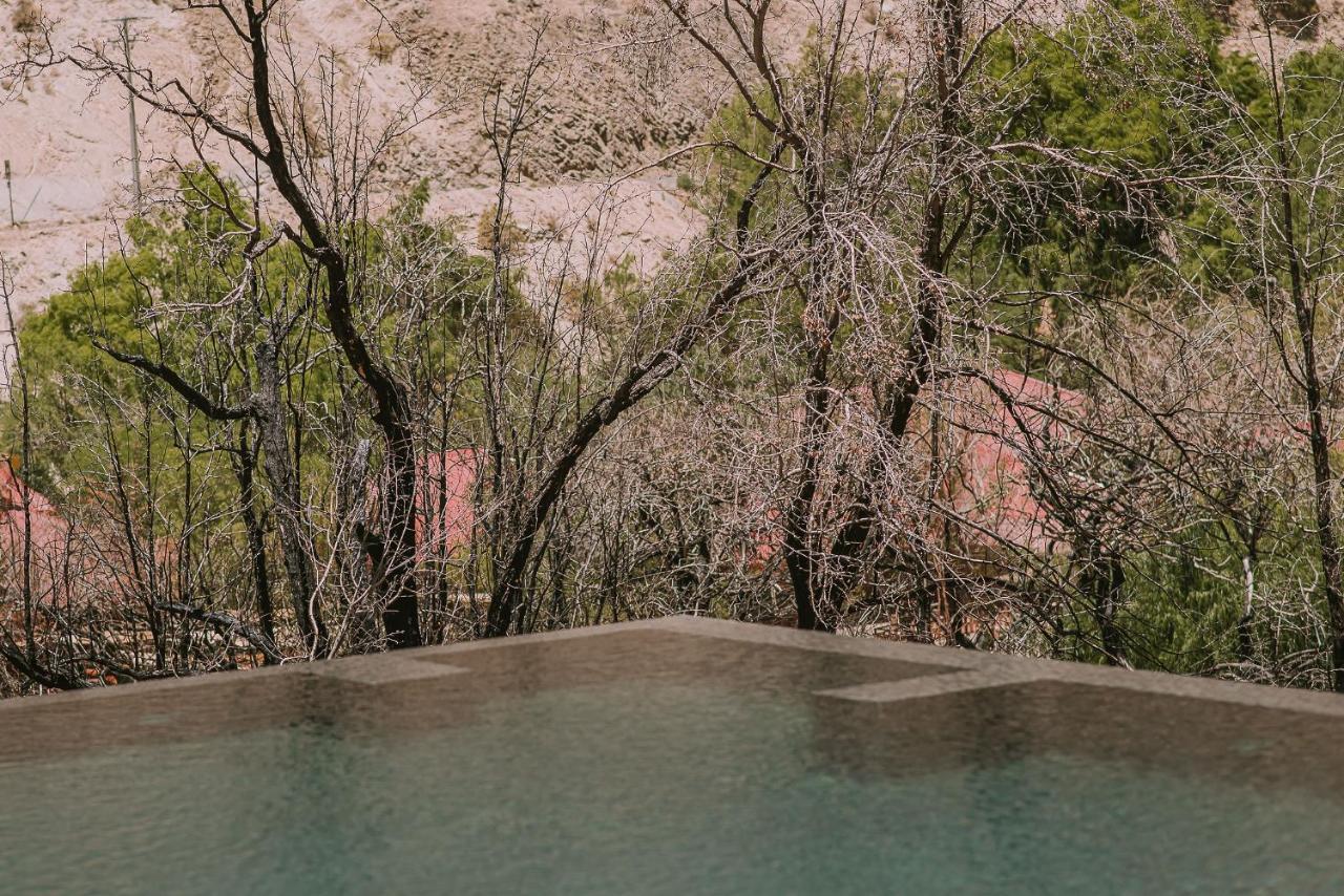 Hotel Vivelo Elqui Landscape Horcón エクステリア 写真