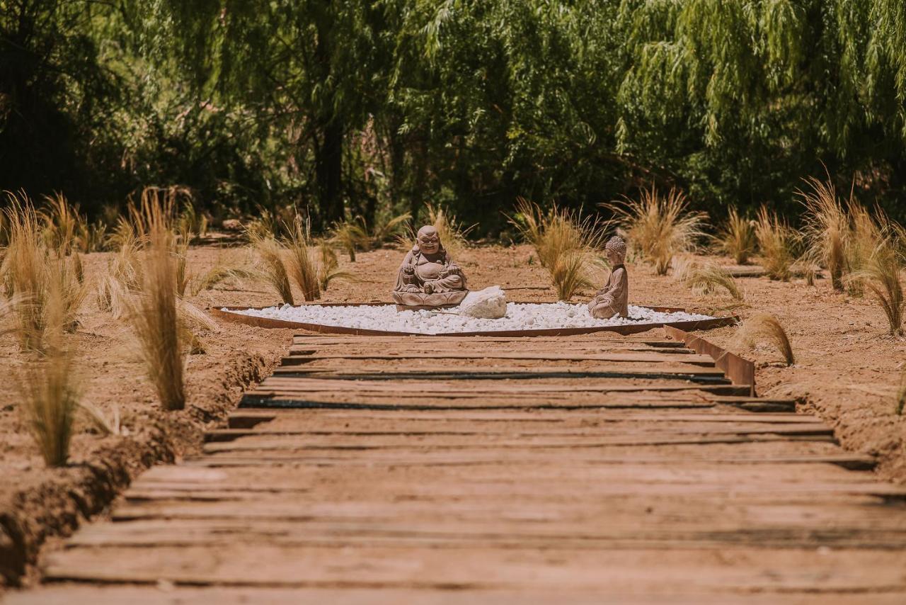Hotel Vivelo Elqui Landscape Horcón エクステリア 写真