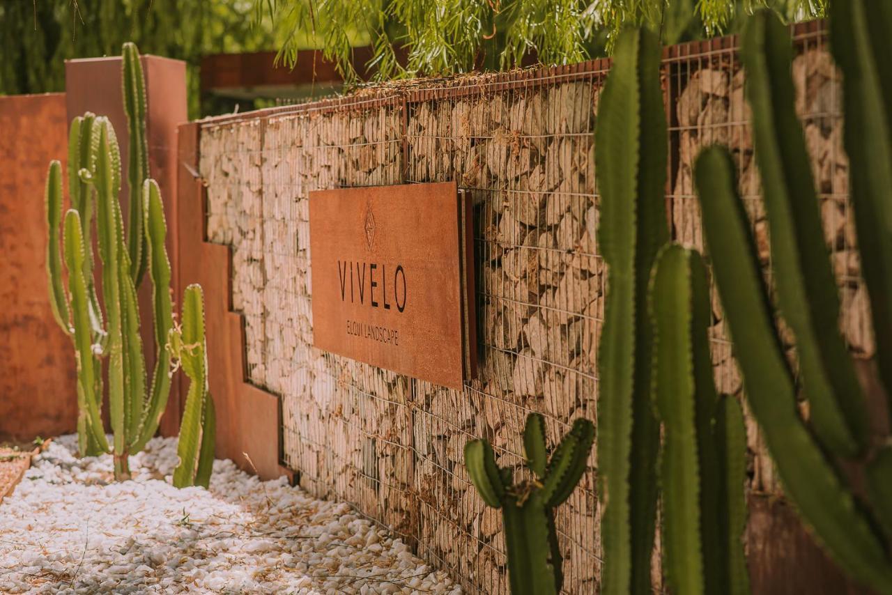 Hotel Vivelo Elqui Landscape Horcón エクステリア 写真