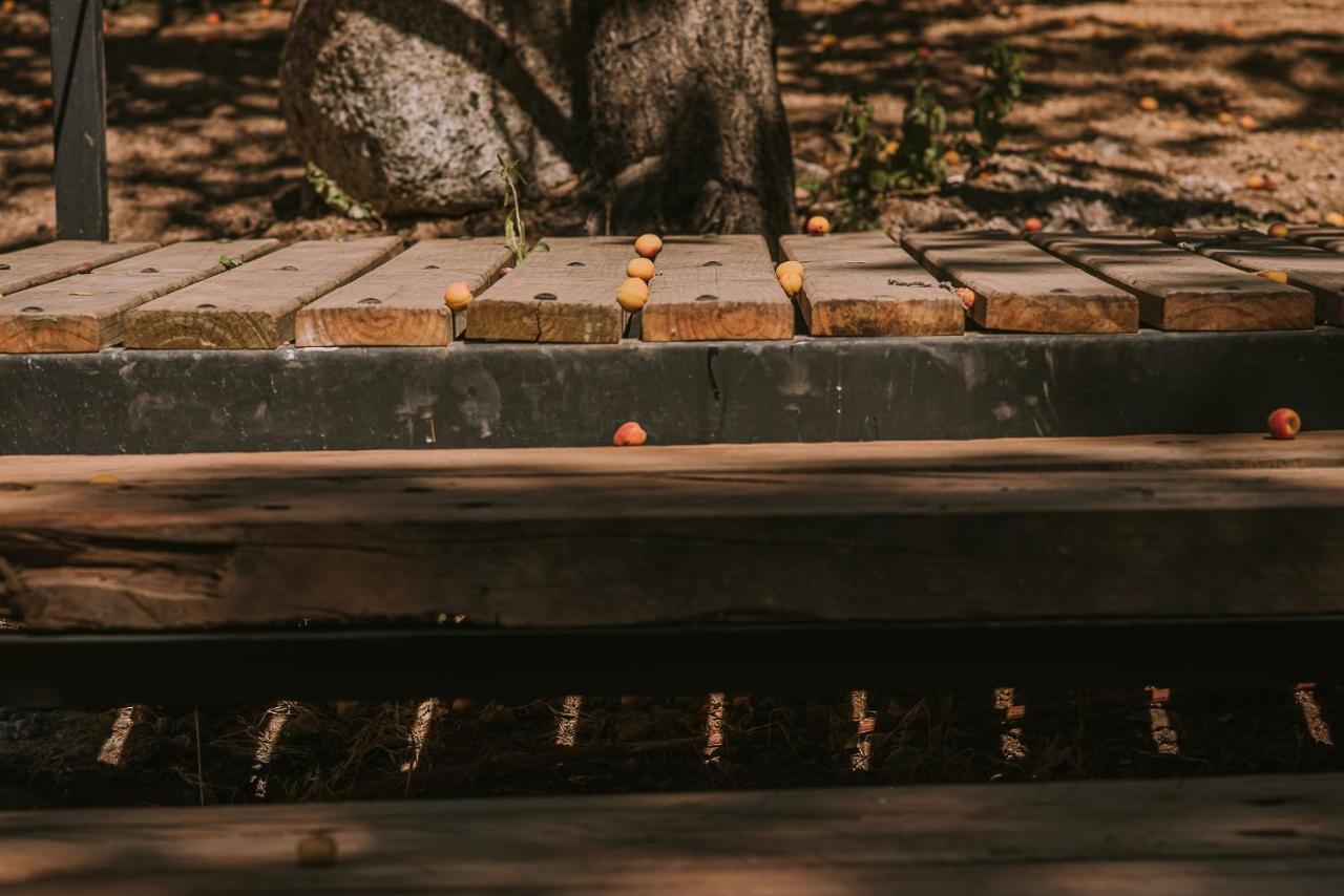Hotel Vivelo Elqui Landscape Horcón エクステリア 写真