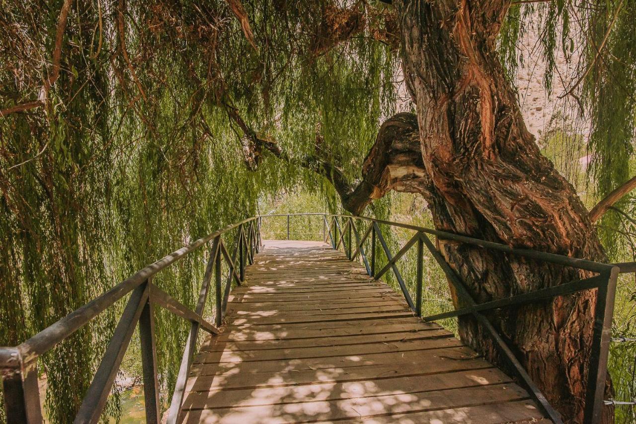 Hotel Vivelo Elqui Landscape Horcón エクステリア 写真