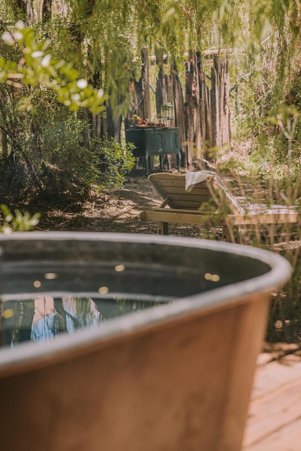 Hotel Vivelo Elqui Landscape Horcón エクステリア 写真